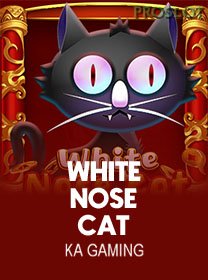 White Nose Cat